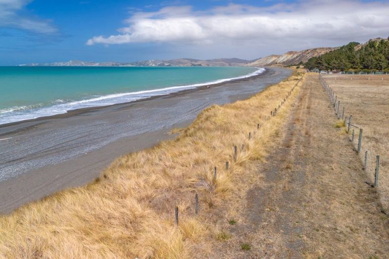 Photo of property in 377 Cable Station Road, Blind River, Seddon, 7285