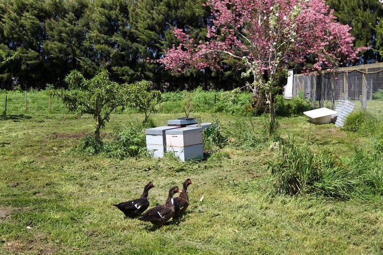 Photo of property in 87 York Road, Longlands, Hastings, 4120