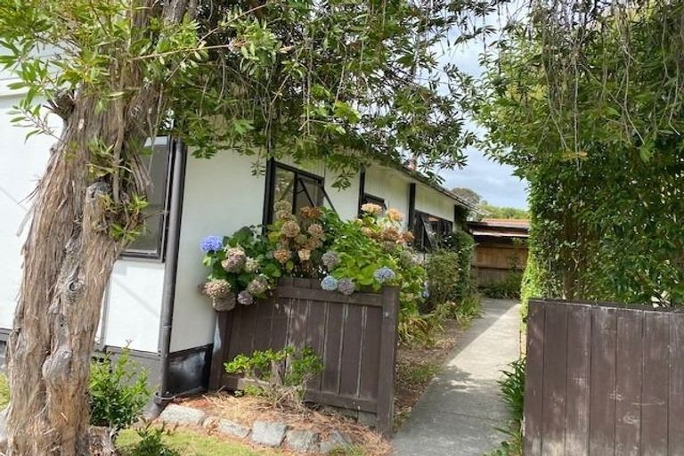 Photo of property in 31 Plassey Street, Havelock North, 4130