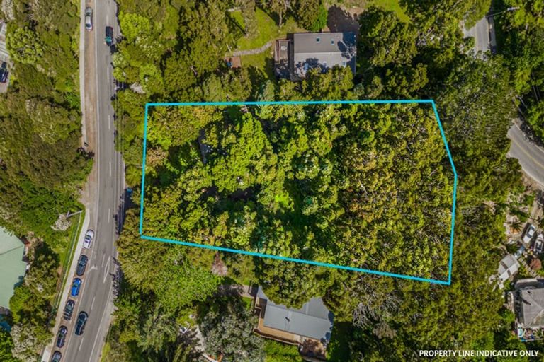 Photo of property in 227 Woodlands Park Road, Titirangi, Auckland, 0604