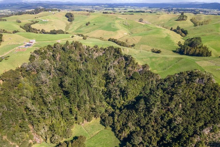 Photo of property in 67 Fraser Road, Kawakawa, 0210