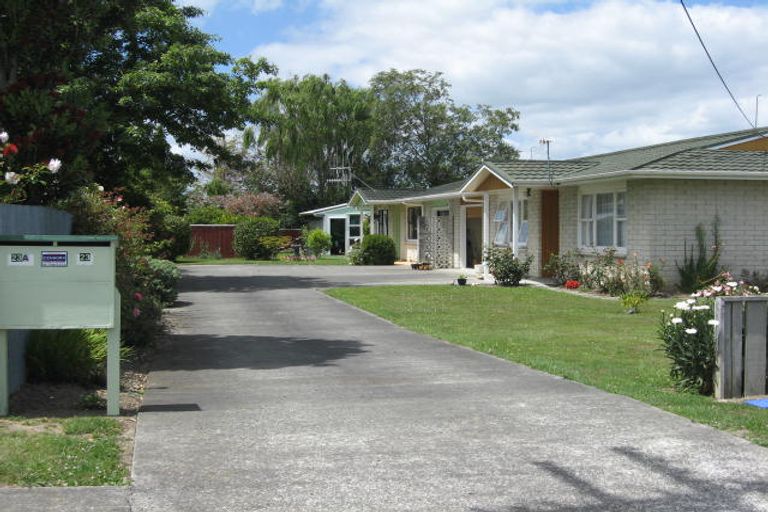 Photo of property in 23a Hobson Street, Feilding, 4702