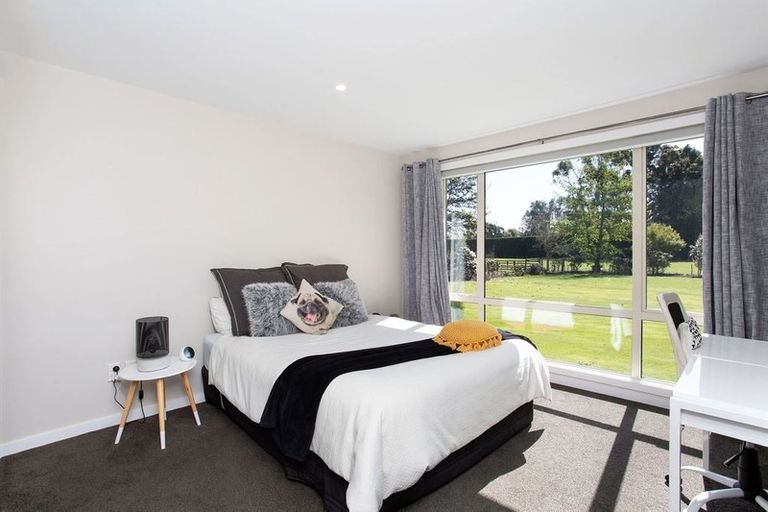 Photo of property in 96 Ellesmere Road, Prebbleton, Christchurch, 7674