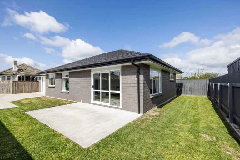 Photo of property in 173 Nikau Street, Saint Leonards, Hastings, 4120