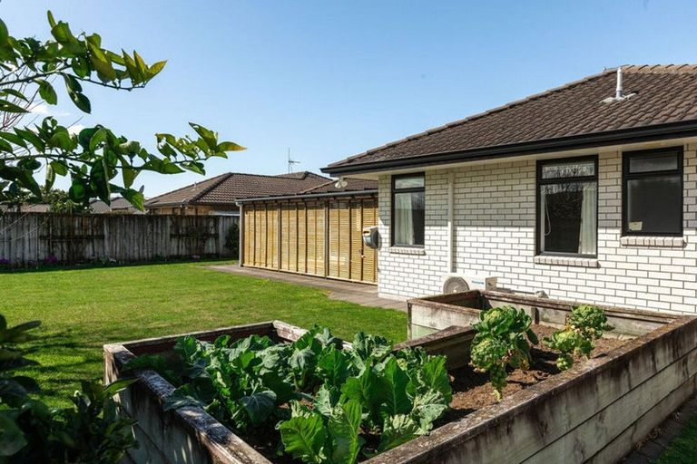 Photo of property in 14 Hoggard Place, Katikati, 3129