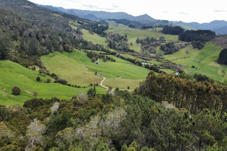 Photo of property in 1579 Tairua Whitianga Road, Whenuakite, Whitianga, 3591