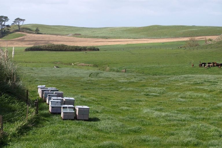 Photo of property in 343 Kaihau Road, Karioitahi, Waiuku, 2683