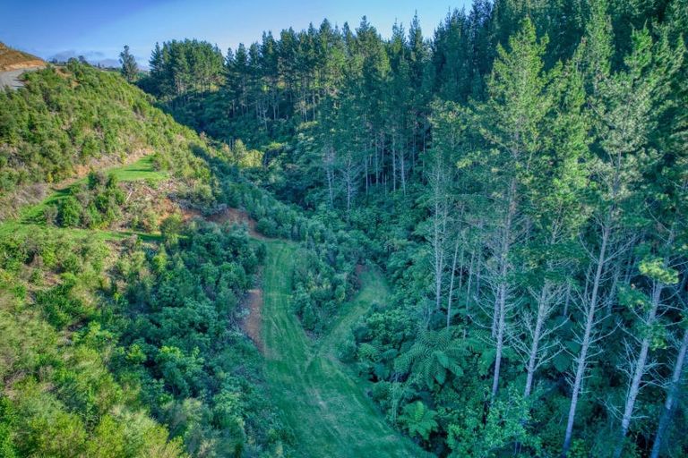 Photo of property in 299c Whakamarama Road, Whakamarama, 3179