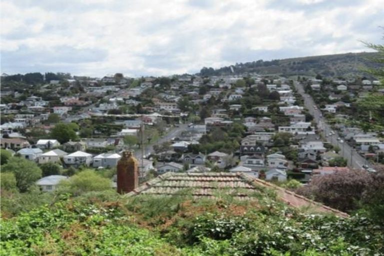 Photo of property in 49 Tyne Street, Roslyn, Dunedin, 9010