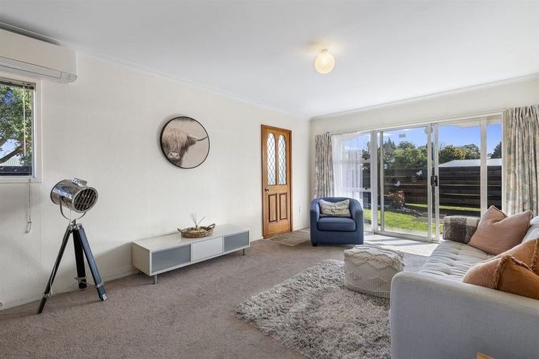 Photo of property in 16c Burrows Street, Tauranga South, Tauranga, 3112