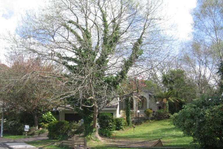 Photo of property in 41 Lewis Road, Lynmore, Rotorua, 3010