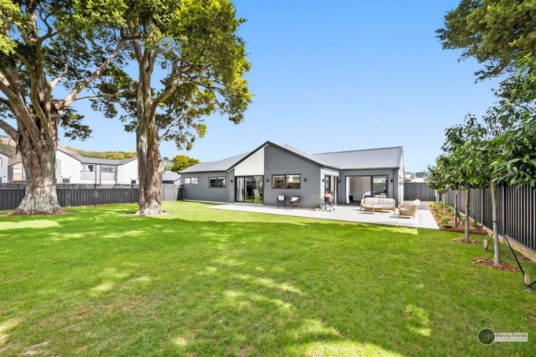 Photo of property in 24 Castletown Street, Wallaceville, Upper Hutt, 5018