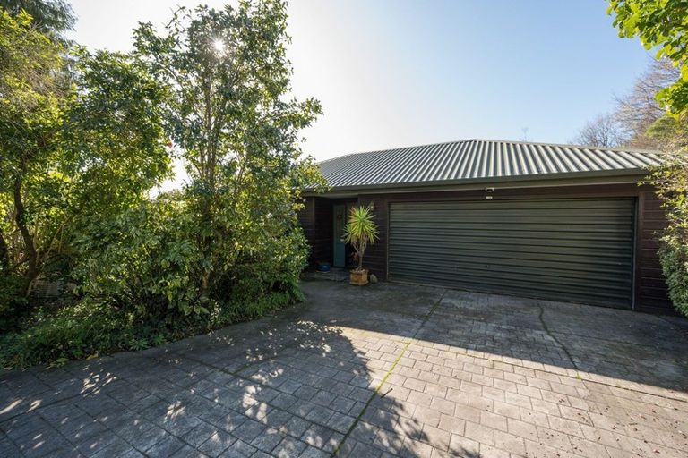 Photo of property in 26 Allan Street, Nelson South, Nelson, 7010