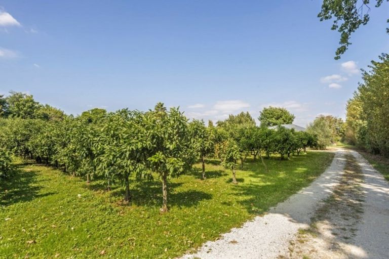 Photo of property in 982 Back Ormond Road, Makauri, Gisborne, 4071