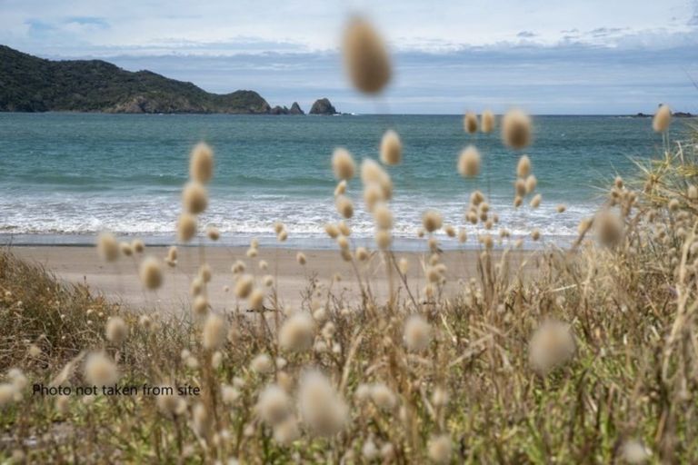 Photo of property in 8 Logan Nicks Place, Whangaruru, Russell, 0184