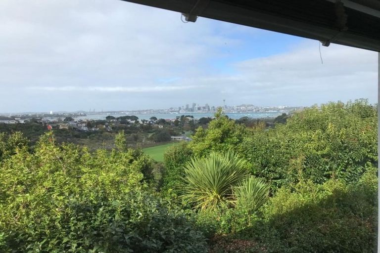 Photo of property in 57 Exmouth Road, Northcote, Auckland, 0627