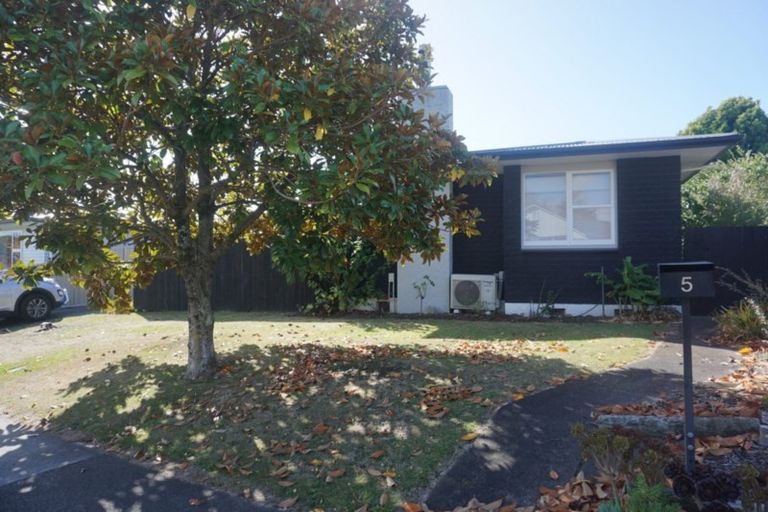 Photo of property in 5 James Cook Street, Havelock North, 4130