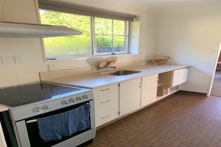 Photo of property in 19 Perindale Drive, Chartwell, Hamilton, 3210