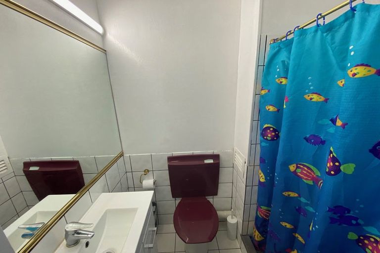 Photo of property in 113 Coromandel Street, Newtown, Wellington, 6021