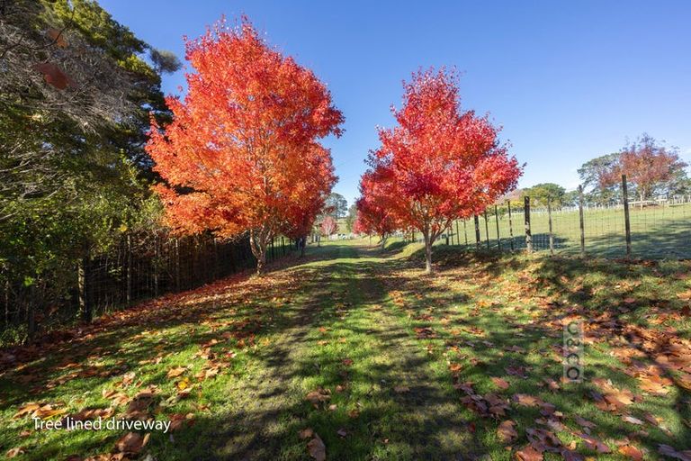 Photo of property in 25 School Road, Waimauku, 0881