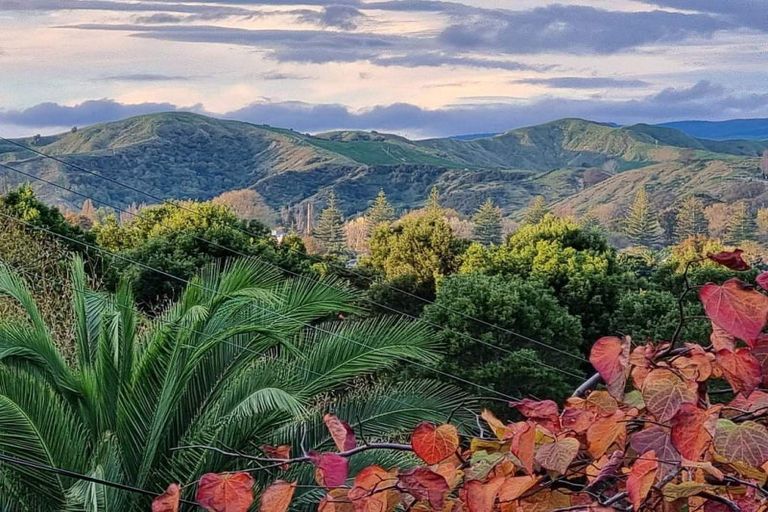 Photo of property in 76 Kitchener Street, Wairoa, 4108