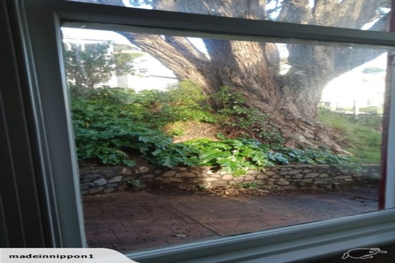 Photo of property in 51 Hawker Street, Mount Victoria, Wellington, 6011