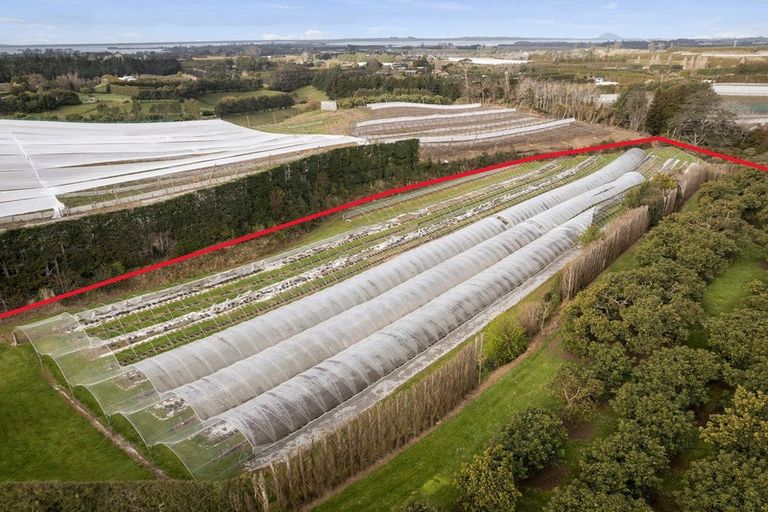 Photo of property in 44 Walker Road West, Aongatete, Katikati, 3178