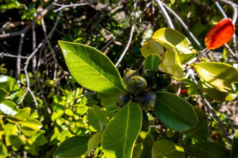 Photo of property in 8 Gundry Street, Rawene, Kaikohe, 0473