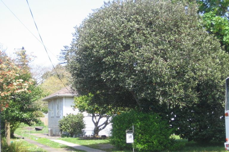 Photo of property in 31 Cureton Street, Morrinsville, 3300