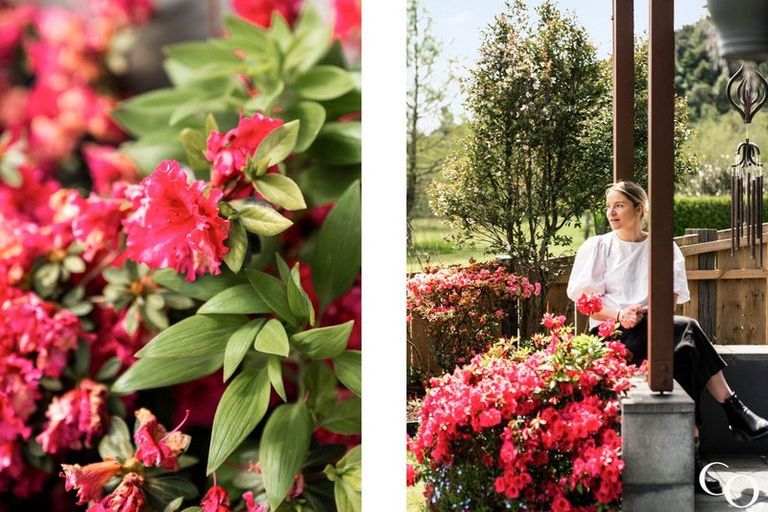 Photo of property in 101 Lakes Boulevard, Pyes Pa, Tauranga, 3112