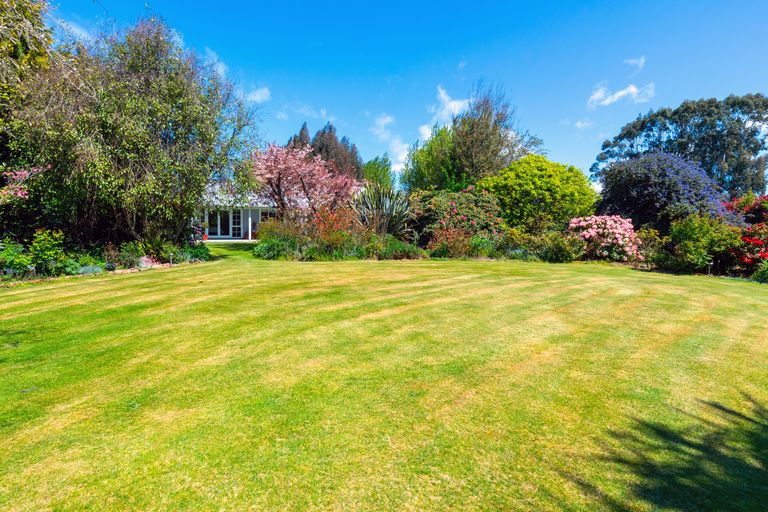 Photo of property in 56 Barrett Road, Seadown, Timaru, 7973