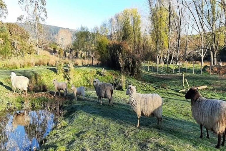 Photo of property in 791 Rosedale Road, Ngatimoti, Motueka, 7196