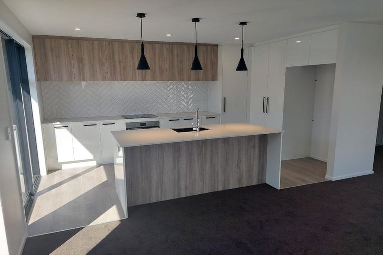 Photo of property in 17 Sarah Nicholls Street, Belfast, Christchurch, 8051