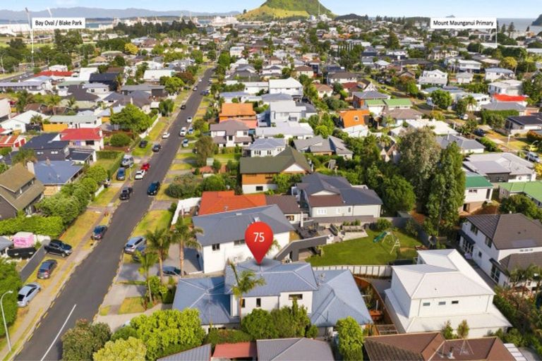 Photo of property in 75 Campbell Road, Mount Maunganui, 3116