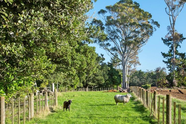 Photo of property in 25a Parker Lane, Buckland, Pukekohe, 2677