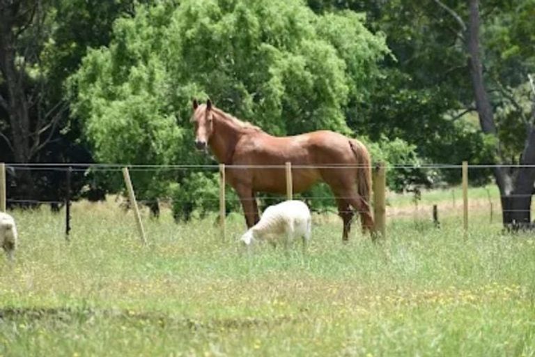 Photo of property in 177 Tapps Road, Canvastown, Havelock, 7178