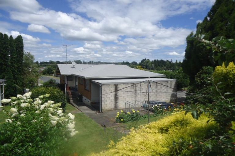 Photo of property in 111 Arapuni Street, Putaruru, 3411