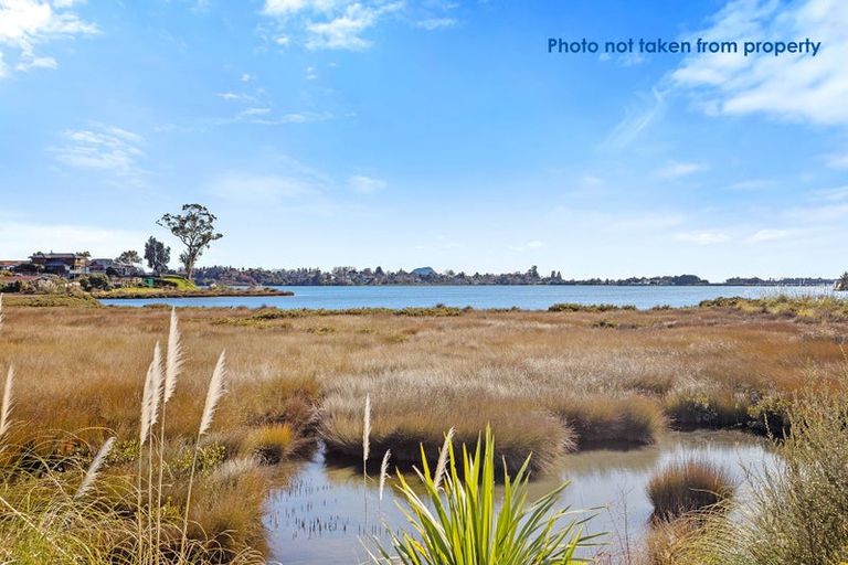 Photo of property in 42 Hinaki Street, Poike, Tauranga, 3112