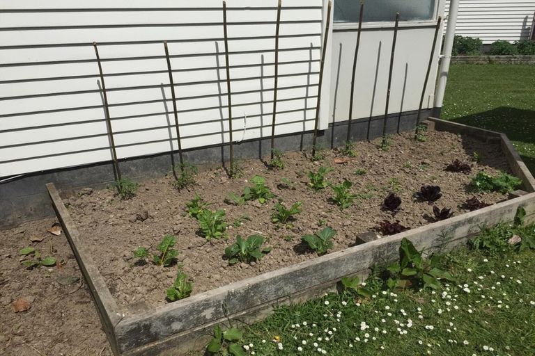 Photo of property in 20 Walker Terrace, Te Kopuru, 0391