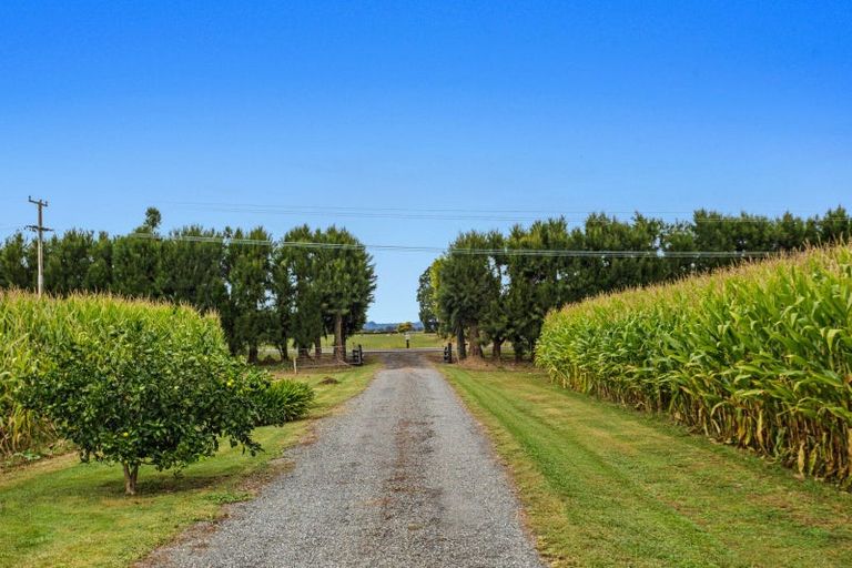 Photo of property in 164 Otakiri Road, Edgecumbe, Whakatane, 3192