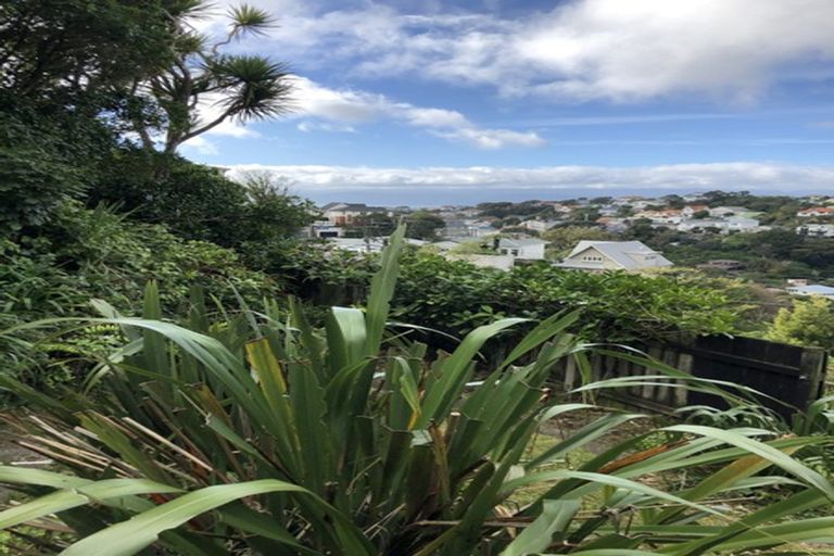 Photo of property in 36 Plunket Street, Kelburn, Wellington, 6012