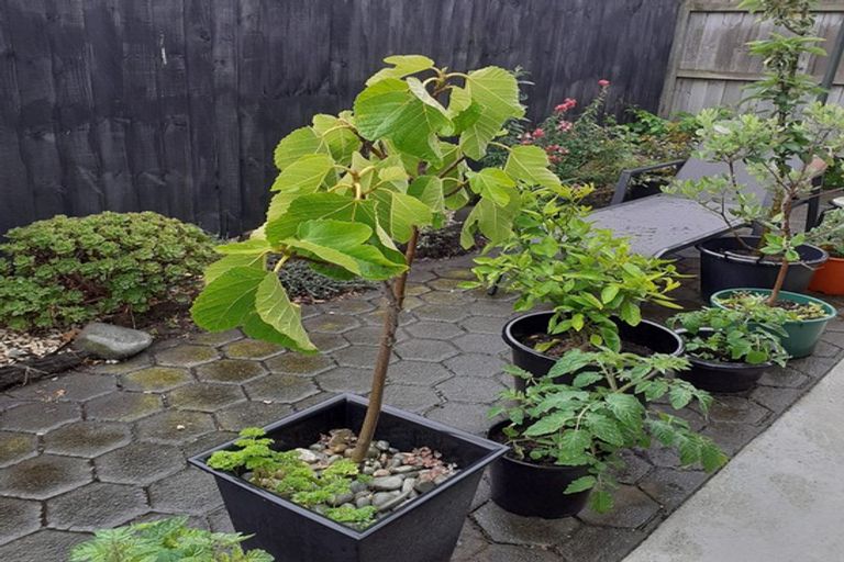 Photo of property in 2/159 Shaw Avenue, New Brighton, Christchurch, 8083