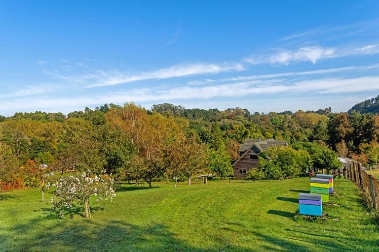 Photo of property in 224 Valley Road, Mangapapa, Gisborne, 4010