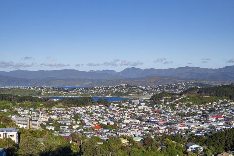 Photo of property in 47 Whaui Street, Vogeltown, Wellington, 6021