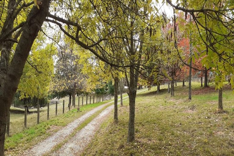 Photo of property in 93 Hoddy Road, Redwood Valley, Richmond, 7081