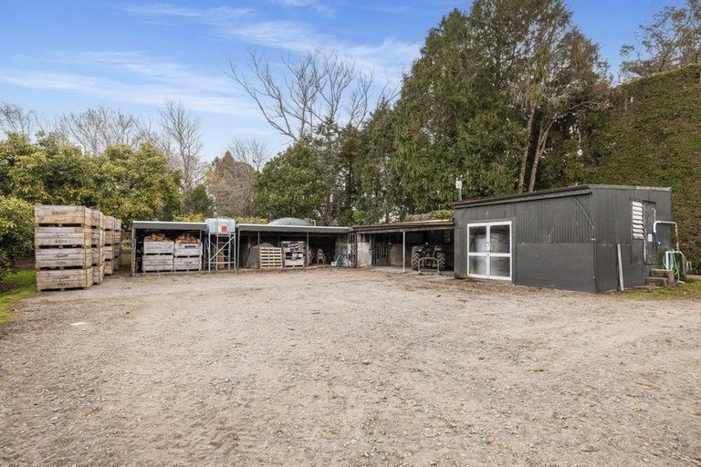 Photo of property in 44 Walker Road West, Aongatete, Katikati, 3178
