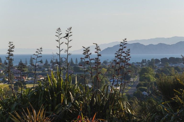 Photo of property in 32 Hillview Terrace, Mangapapa, Gisborne, 4010