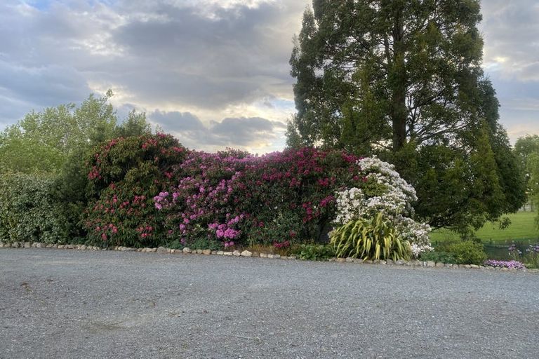 Photo of property in 9 Dryfe Street, Nightcaps, 9630