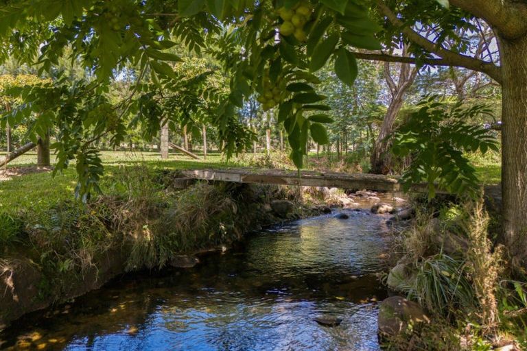 Photo of property in 63a Rea Road, Tahawai, Katikati, 3178