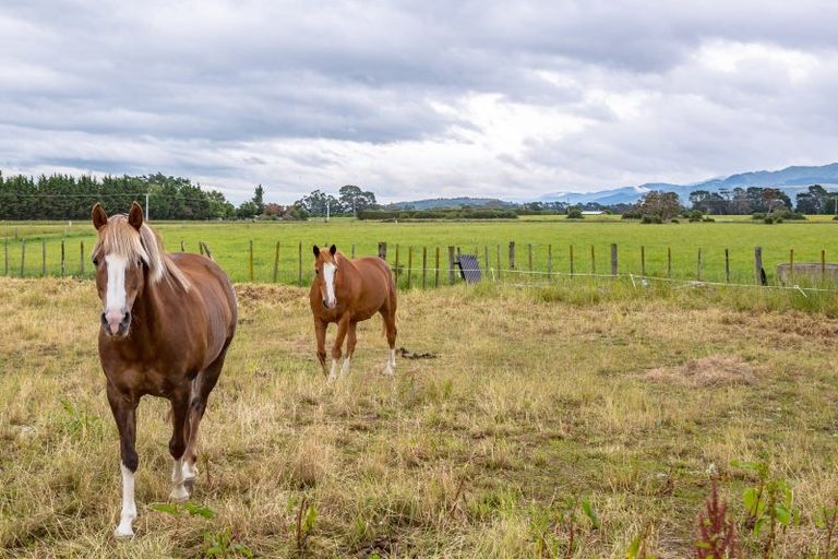Photo of property in 386 Chester Road, West Taratahi, Carterton, 5791